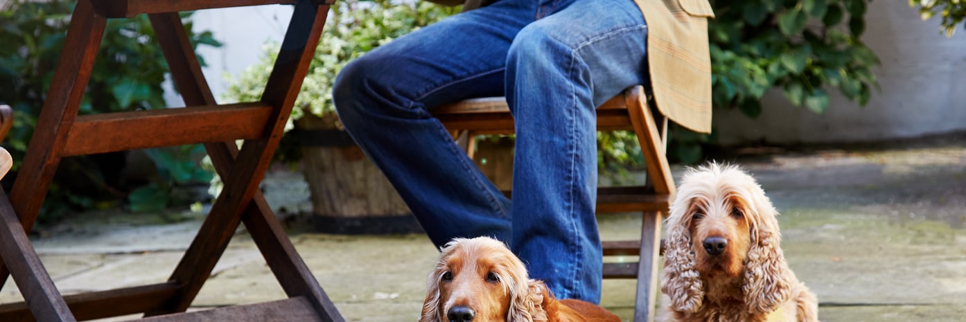 Dog-Friendly Days Out in Sussex: Beaches, Walks & Things to Do