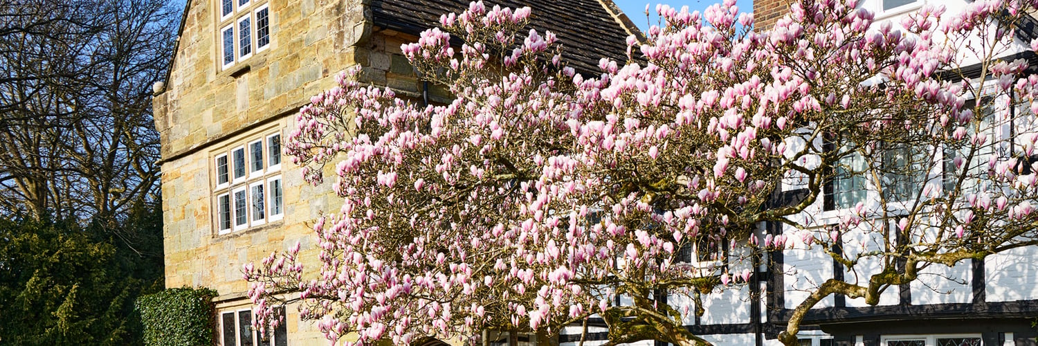 Ockenden Manor Hotel & Spa in Cuckfield, West Sussex