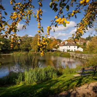 Guided Walk & Lunch | History & Nature Walks in West Sussex