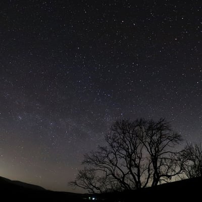 Stargazing Experience at Bailiffscourt Spa in West Sussex