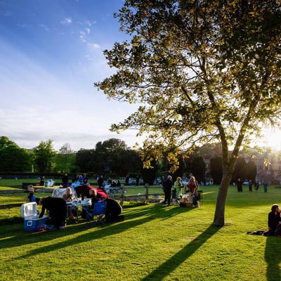 Top Sussex Attractions & Days Out Near Cuckfield