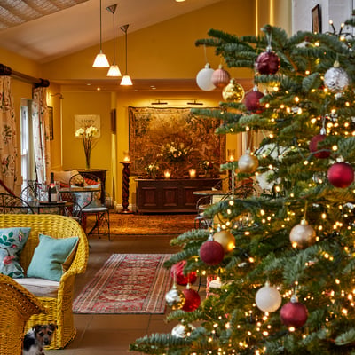 Three-Night Christmas Break in West Sussex | The Spread Eagle