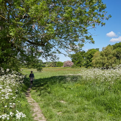 A 24-Hour Escape from London at Ockenden Manor