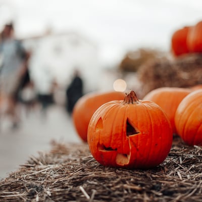 Spooky Halloween Events & Activities in Sussex