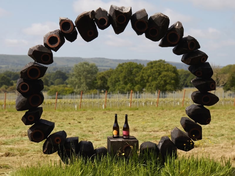 Artelium Wine Estate: Streat, East Sussex