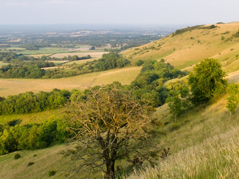 Ditchling Beacon, Sussex