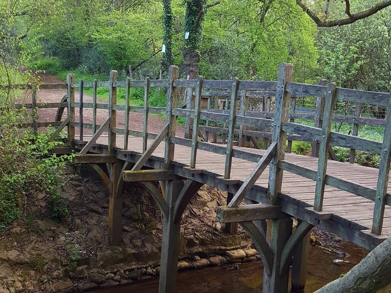 Ashdown Forest: The Real Hundred Acre Wood, Sussex