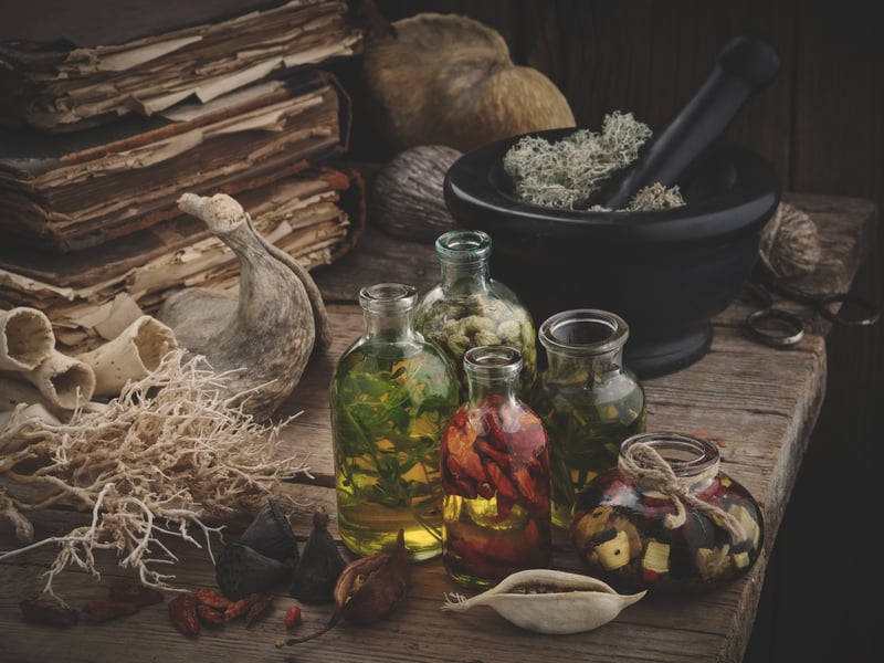 Plagues and Potions at the Weald & Downland Living Museum, Chichester