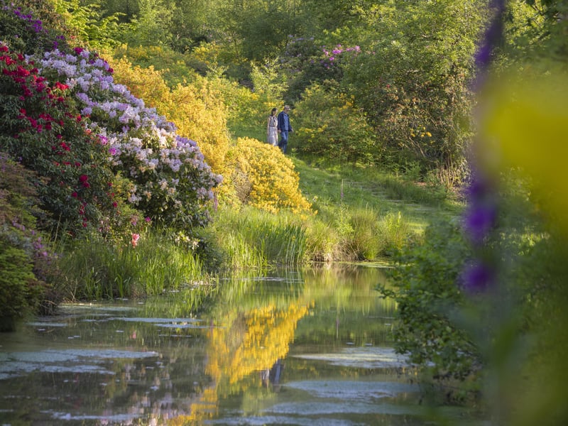 Leonardslee Gardens, Sussex - Image James Ratchford