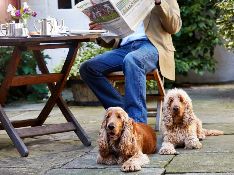 Dog-Friendly at The Spread Eagle Hotel & Spa in Midhurst, West Sussex