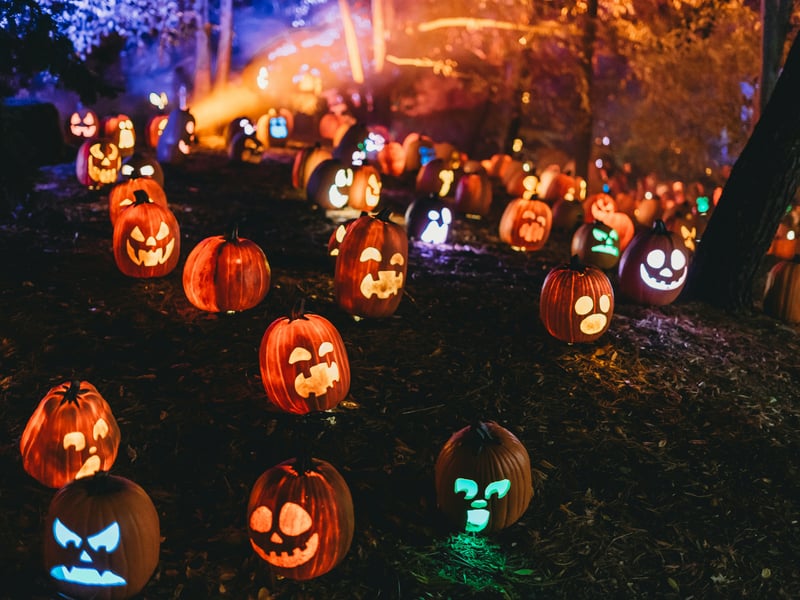 Tulleys Shocktober Fest Scream Park