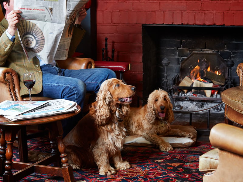 Dog-Friendly Pubs & Dining in Sussex