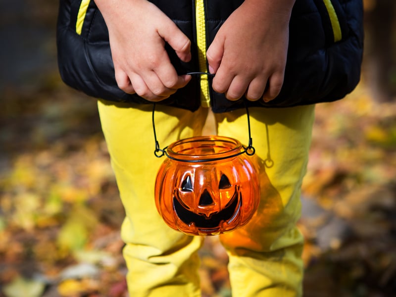 Borde Hill Halloween Trail & Kids' Activities, Haywards Heath