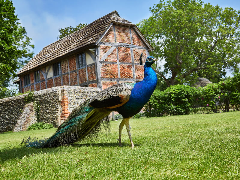 Bailiffscourt Hotel & Spa in Climping, West Sussex