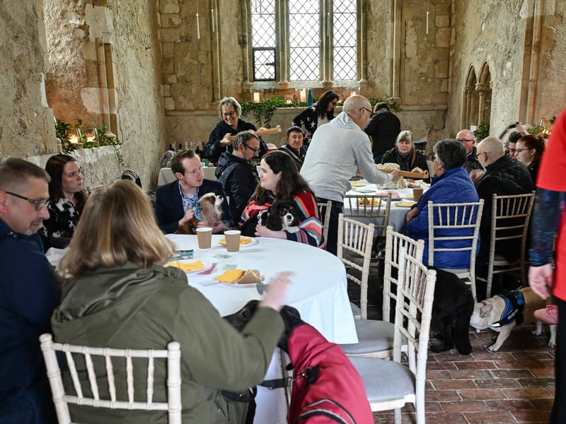 Dog-Friendly Events in Sussex Not to Miss