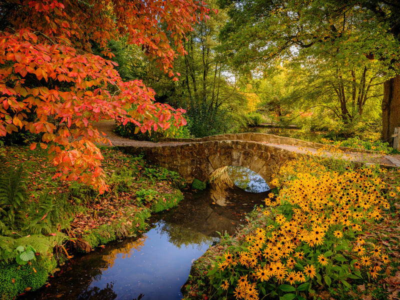Wakehurst Water Gardens, Sussex - Image Jim Holden