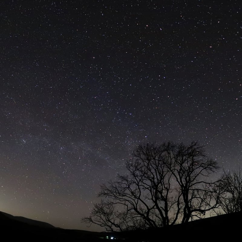 Stargazing Experience at Bailiffscourt Spa in West Sussex