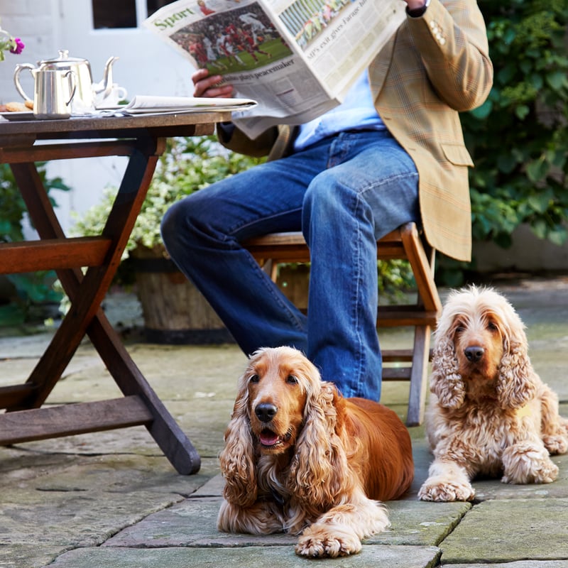 Dog-Friendly Break in West Sussex | The Spread Eagle