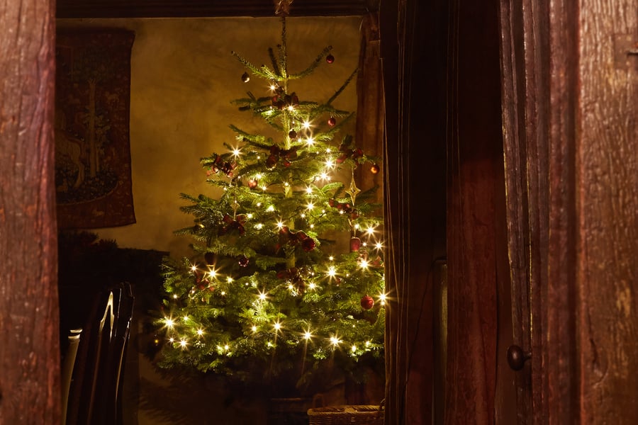 Christmas Tree at Bailiffscourt in West Sussex